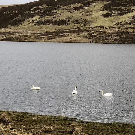 Scalloway Caravan Park Ngoại thất bức ảnh
