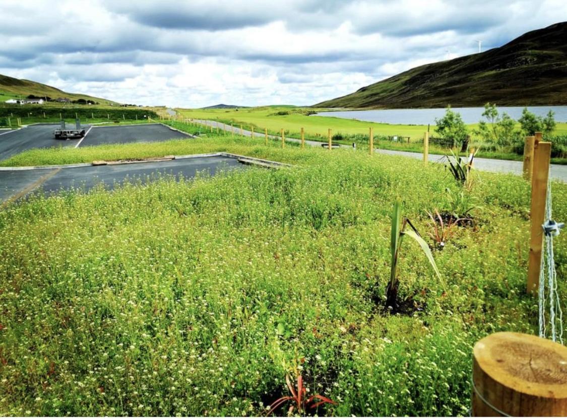 Scalloway Caravan Park Ngoại thất bức ảnh